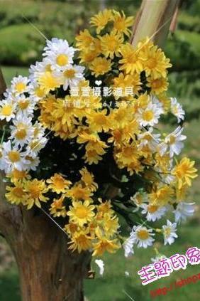 New Arrival Wedding Bouquet Handmade Flowers Daisy White and Yellow and Red Bridal Bouquet Wedding bouquets